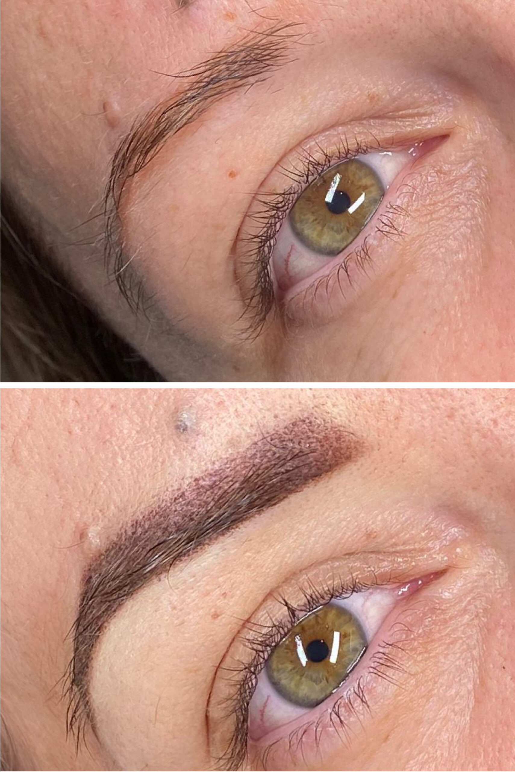 pmu_Tavola disegno 1 copia 3